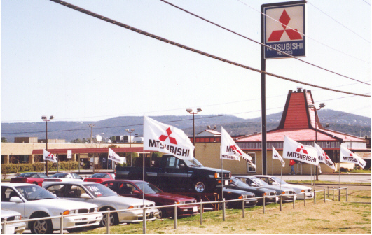 Auto Dealer Logo Flags